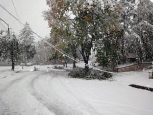 Snow in Westwood (10/29/11).