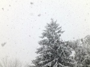 Firs snowfall in Westwood (10/29/11).