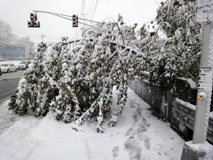 Snow in Westwood (10/29/11).